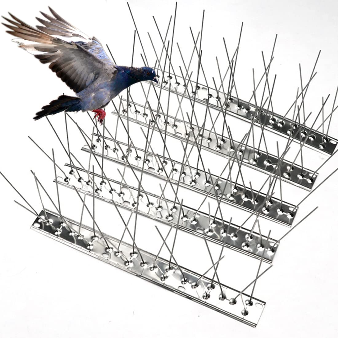 Pigeon Spikes